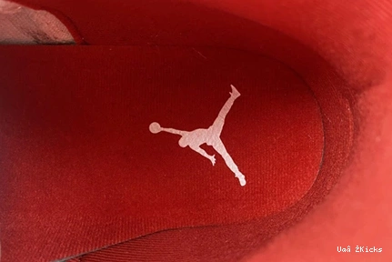 Cherry 697 Cozy 11 Air CT8012-116 Jordan 0804